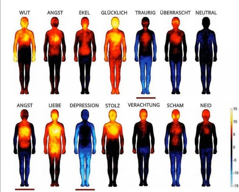 Body Sensations. Wo verorten Menschen ihre Emotionen?