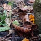 Ich vermisse Dich. Erinnerungen auf dem Friedhof.